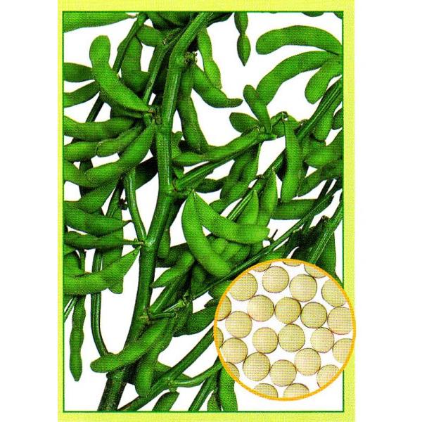 yG_}qz nӍ̎@Ӑ@u̗F3îƂjv1@@2ȍ~̂͂\ƂȂ܂B