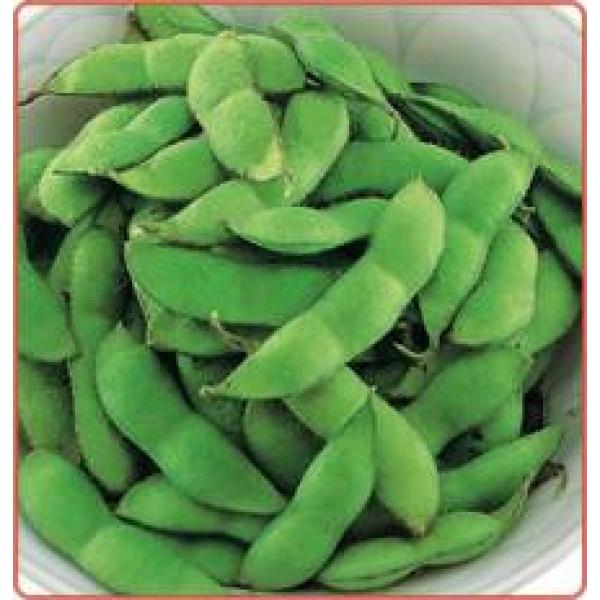 yG_}qzc@uӎޒ5v1@V^l2ȍ~