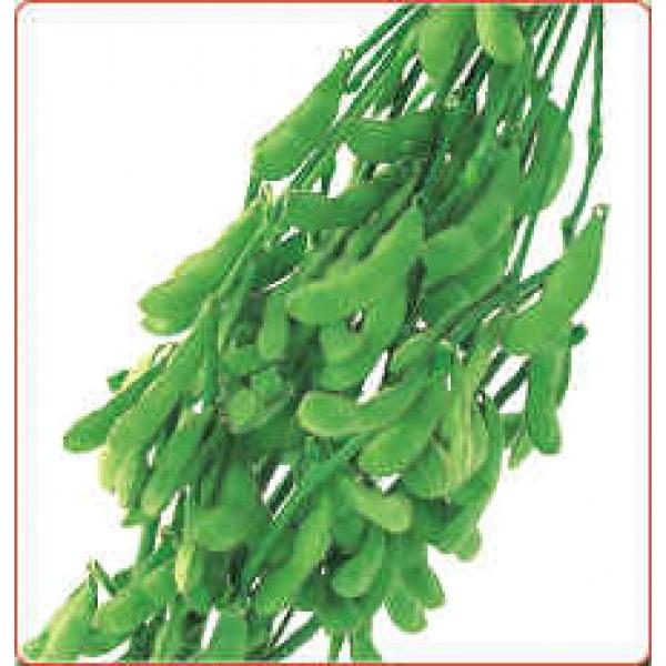 yG_}qzc@@@uӎޒvi΂񂵂Ⴍ܂߁j@1bg@V^l2ȍ~