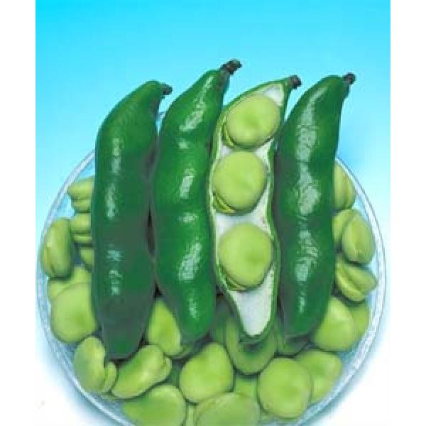 y\}qz^LC琬@uOA܂߁ijv@ 1bg@[J[/s