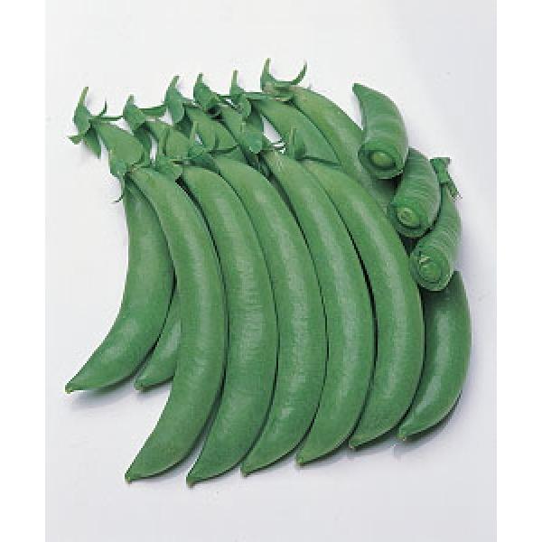 yGhEqz@^LC琬@XibvGhE@uOv@1bg@ii@/s