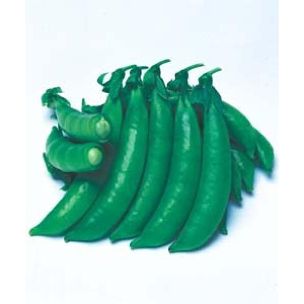 yGhEqz@XibvGhE@uWbL[v@GF܁i18mlj@i