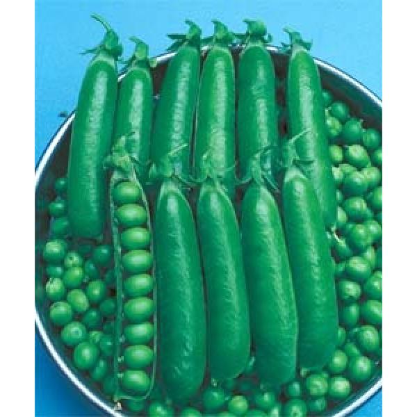 yGhEqz^LCc@C΃O[s[Xi_ѐYȖ؎琬j@1bg@s