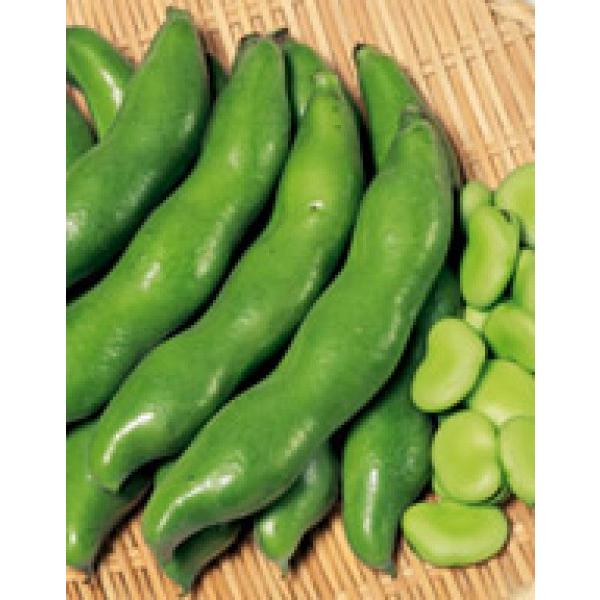 y\}qzTJ^̃^l@uhi܂jv@1bg@[J[/s