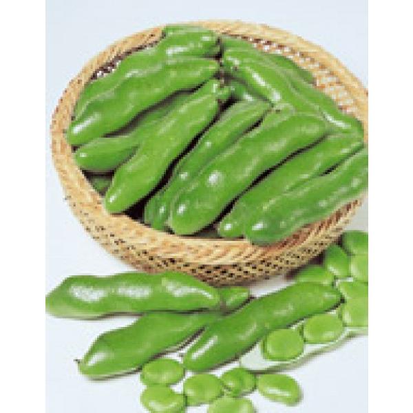 y\}qzTJ^̃^l@ŉzΈꐡ@40ml