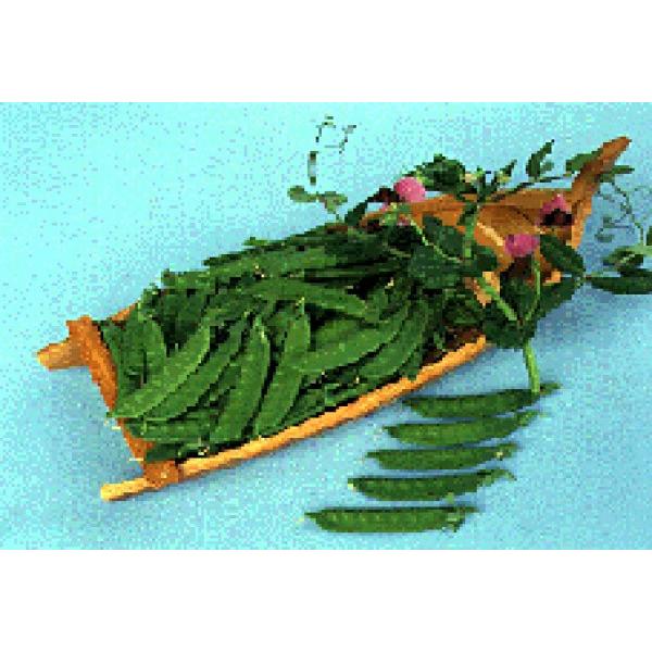 yGhEqzgL^c@ԉԂǂ@u䂤v@30ml