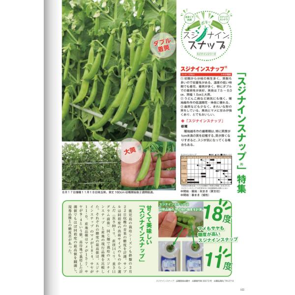 【エンドウ種子】トキタ種苗　PVP登録品種　スジナインスナップ　小袋　★新タネは8月以降のお届けとなります