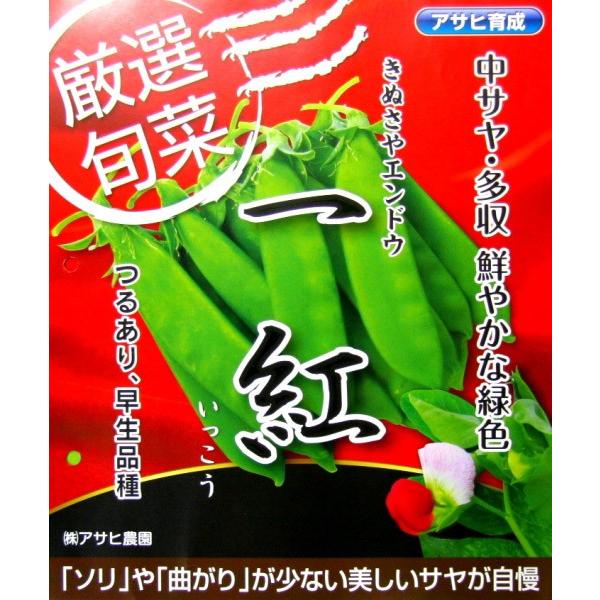 yGhEqzATq琬@邠@ugijv@܁@͂8ȍ~ƂȂ܂