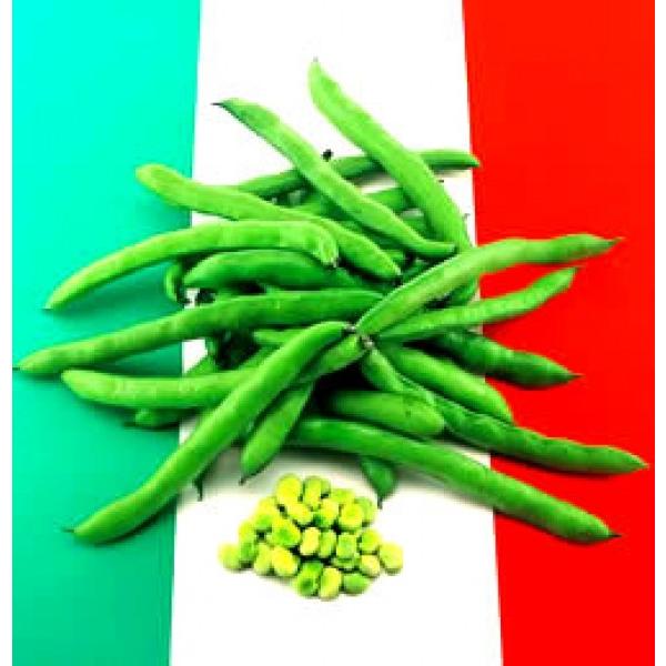 y\}qzc@T_\}u||v܁i12j