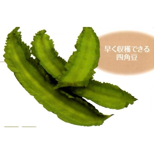 肸ilpj@1bgy܂ߎqzit^ocj[J[ɂs