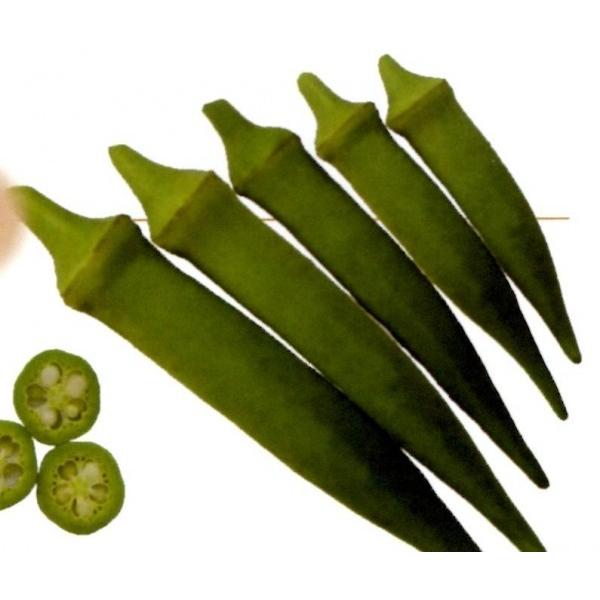 ̉Si܂̂j@1yINqz@ȁ`zit^ocjV^l͎q؂ւ1ȍ~̂͂\