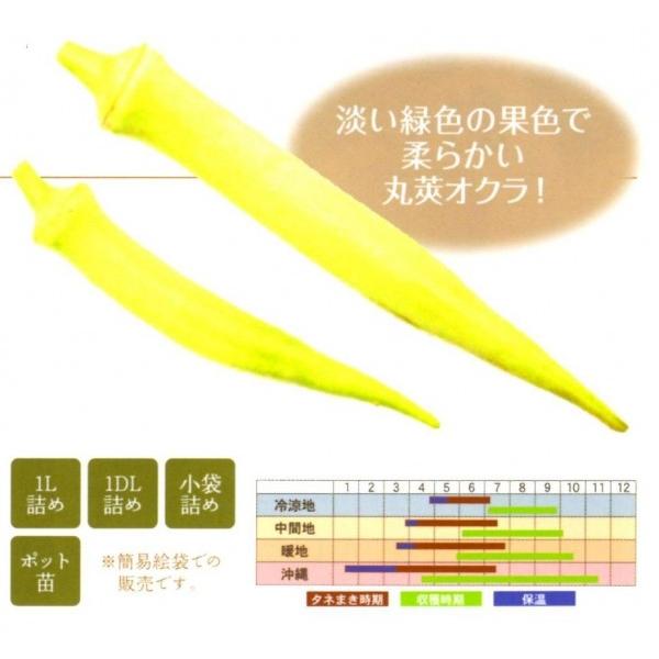 yINqz@ȁ`琬it^ocjЂiЂj1@V^l͎q؂ւ1ȍ~̂͂\