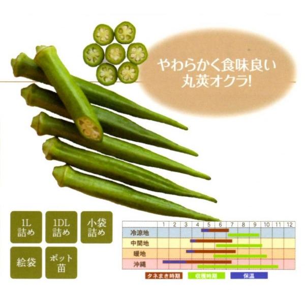 ꓇INiȂ킵܂j1yINqzit^ocjV^l͎q؂ւ3ȍ~̂͂\