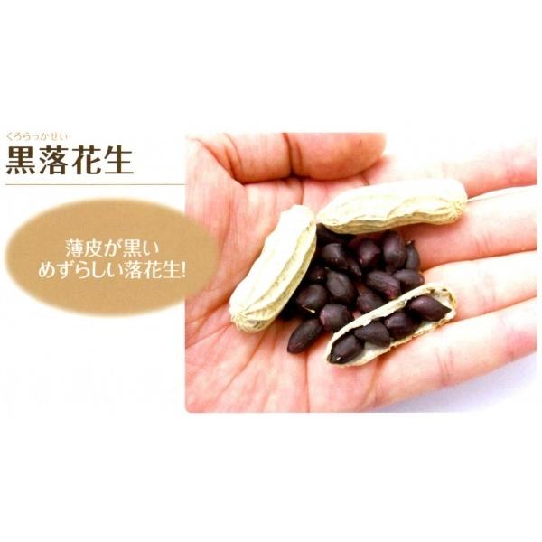 yԐqzit^ocj@Ԑij܁@[J[ɂs