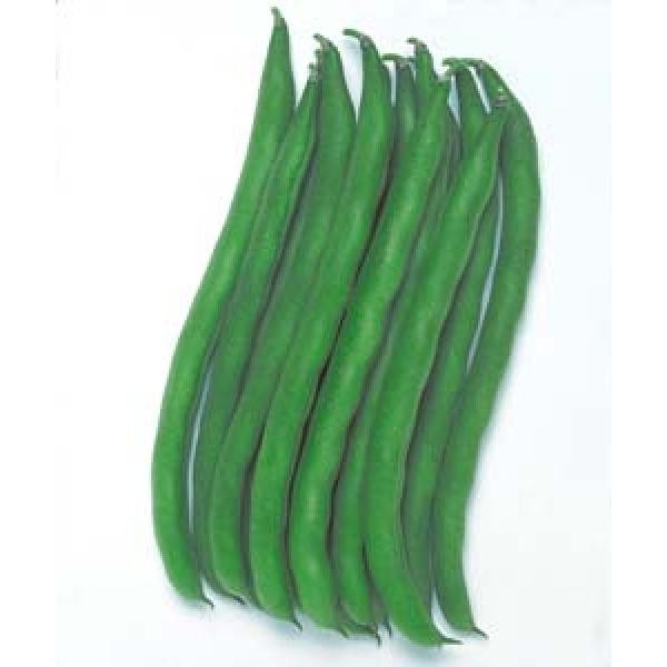 yCQqz^LCc@Ȃu݂ǂQv 1