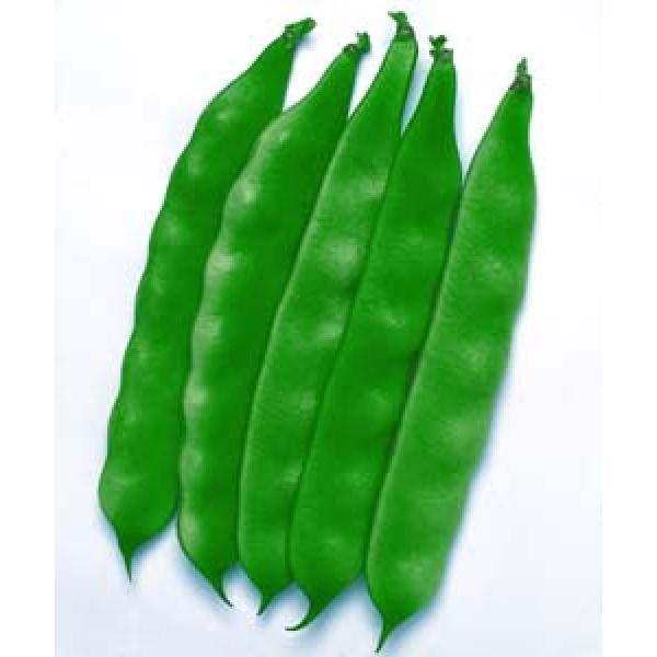 yCQqz^LCc@邠ubRv@ 1