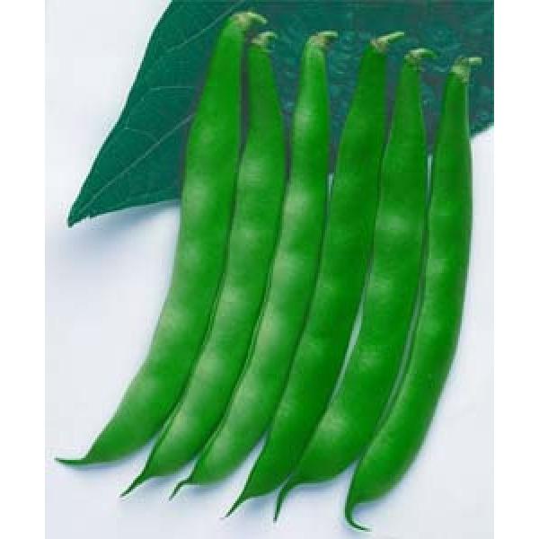 yCQqz^LCc@ȂbR@1bg@s