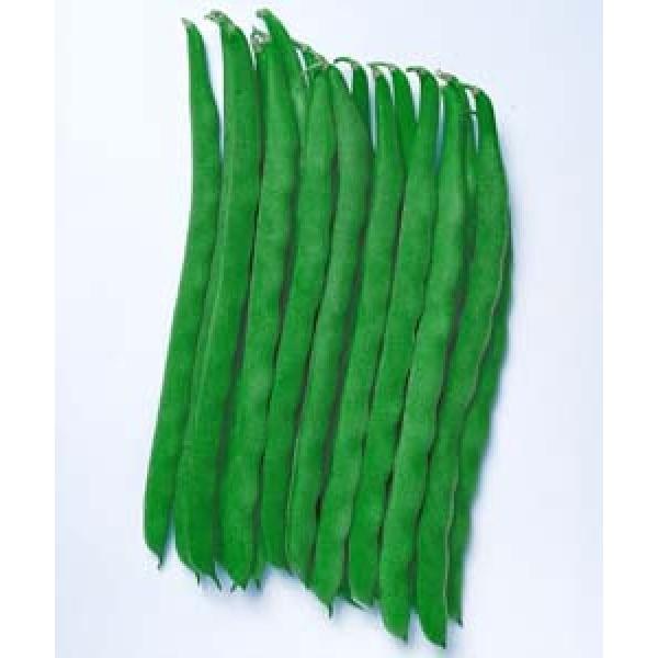 yCQqz^LCc@邠uP^bL[POPv1