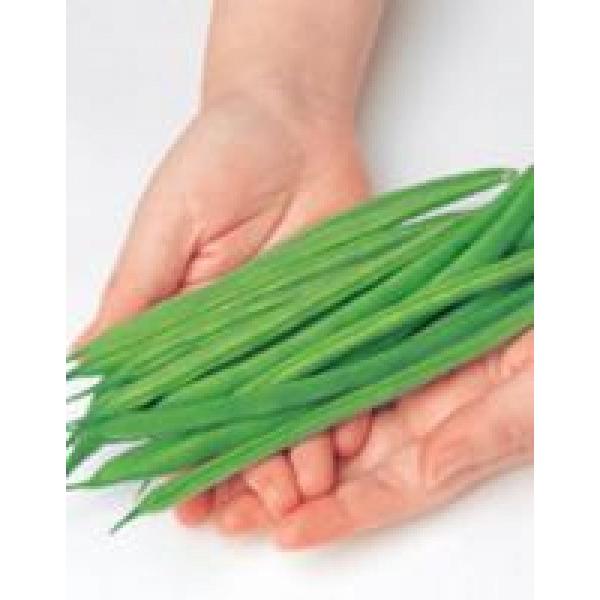 yCQqzTJ^@uTNTNqijv@1@PVPo^i