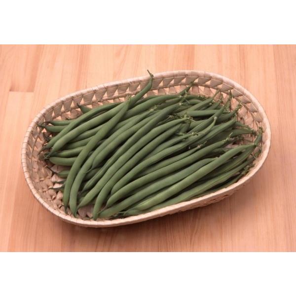 yCQqzTJ^@uTNTNqlIi˂jv 1dl@PVPo^i