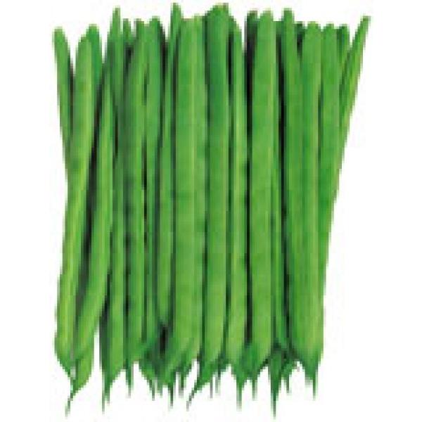 yCQqzJlR琬@@70@1{ȍ~̂͂ƂȂ܂