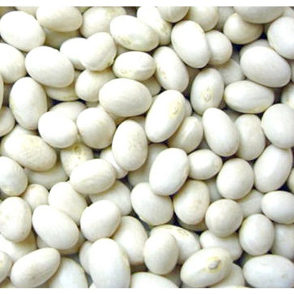 y񂰂qzsc@Ȃ@1bg@s