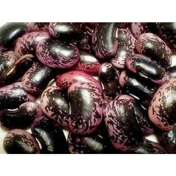 Ԃӂiԉłj1bgy񂰂qzԉԓ@s