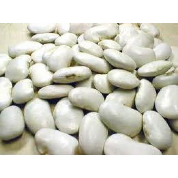 ӂiԉłj1y񂰂qzԓ@@