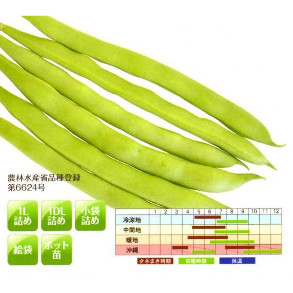 y񂰂qzit^ocj@쐯i͂Ԃj1@[J[ɂs