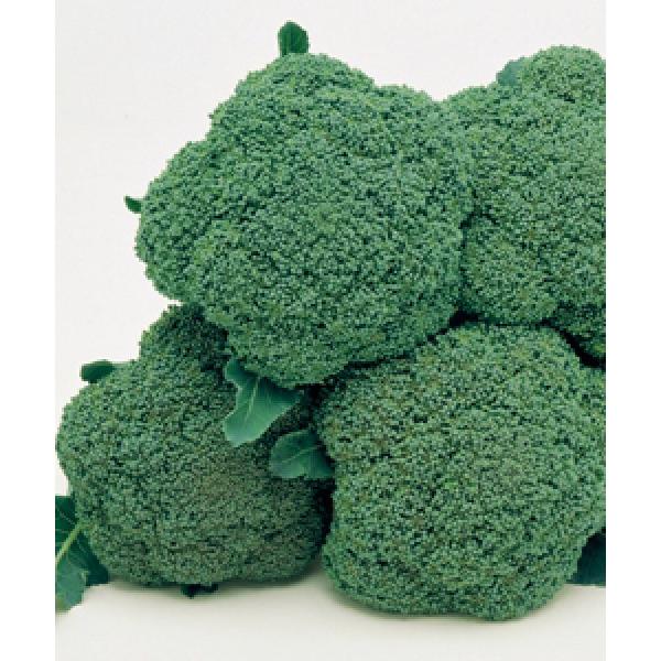 yubR[qz^LCz@@unCcrPv@RF܁i105j