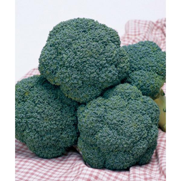 yubR[qz^LCz@ugbvMAv20@[J[/s