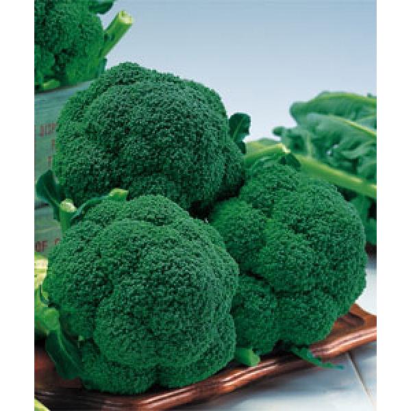 yubR[qz^LCz@`W[SP@DF܁i150j