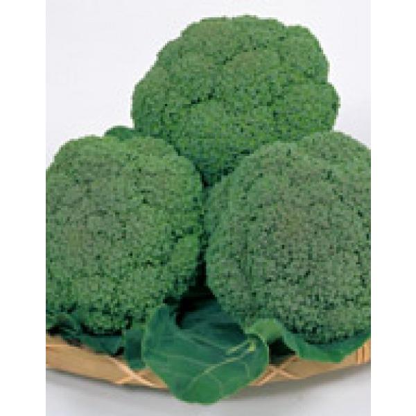 yubR[qzTJ^z@@uOh[v@2000