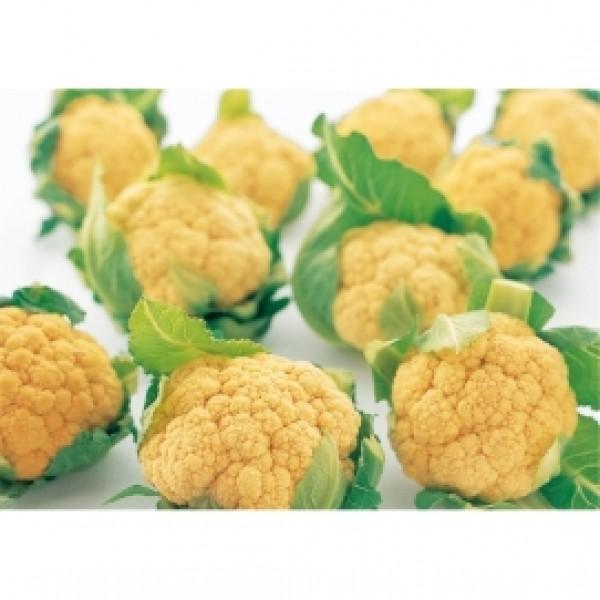 yJt[qz@TJ^z@@~jJt[uIWi݂jv@