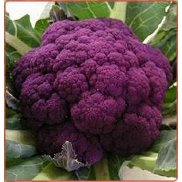 yJt[qzc@p[vt[@30R[g@V^l12ȍ~