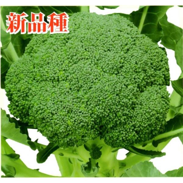 yubR[qz@a_/Vz@@ObZ@2000@s