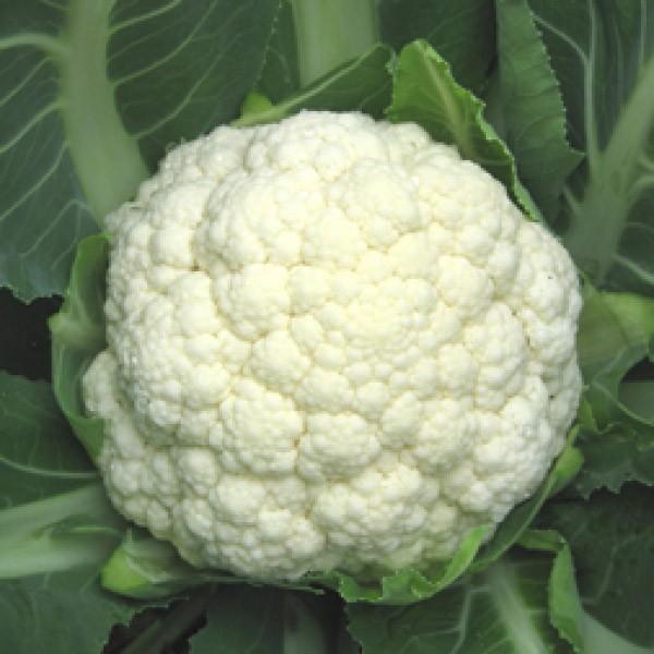 yJt[qz@nӔ_z@uzCgxv@2000@