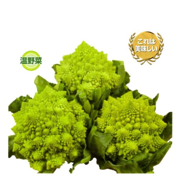 y}lXRqz@nӌzinӔ_j@@ulIXpCimw-bk322jv@1000@