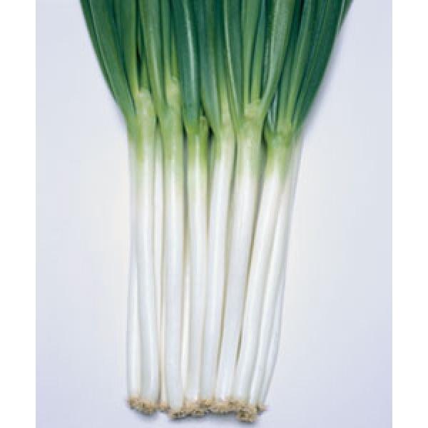 ylMqz^LCz@zCg^CK[@DF܁i8mlj