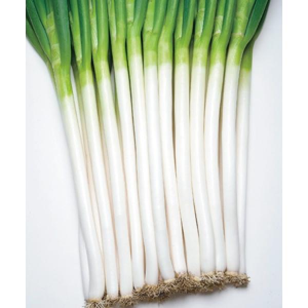 ylMqz@^LCz@@zCg\[h@1@s