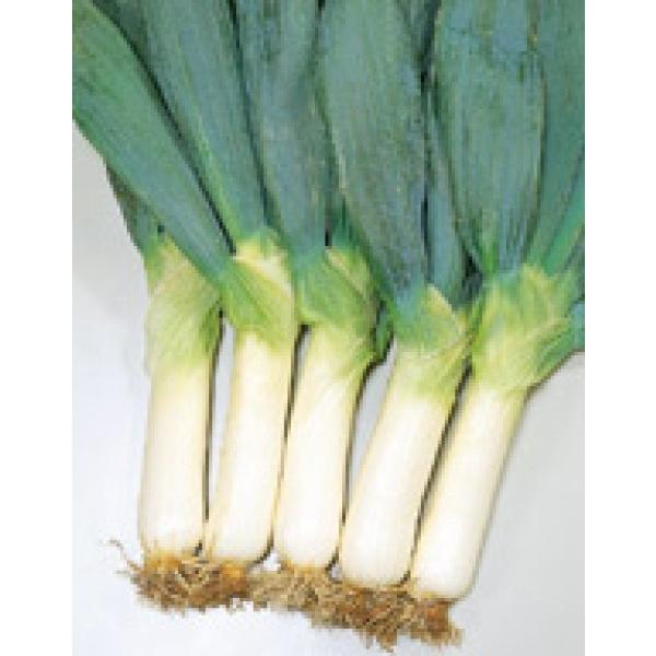 ylMqzTJ^̃^l@u鉺mci炢Ăɂjv@2dl