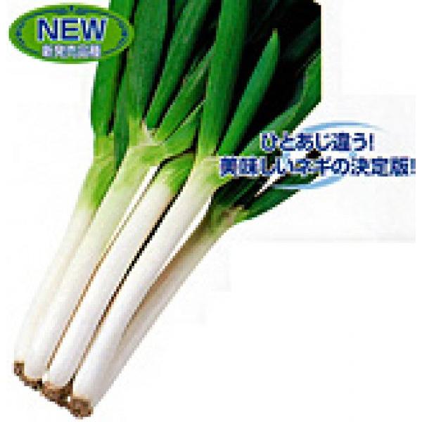 ylMqz@JlR琬@uSUKIYAKIi₫jv5000R[g@PVPo^i@s