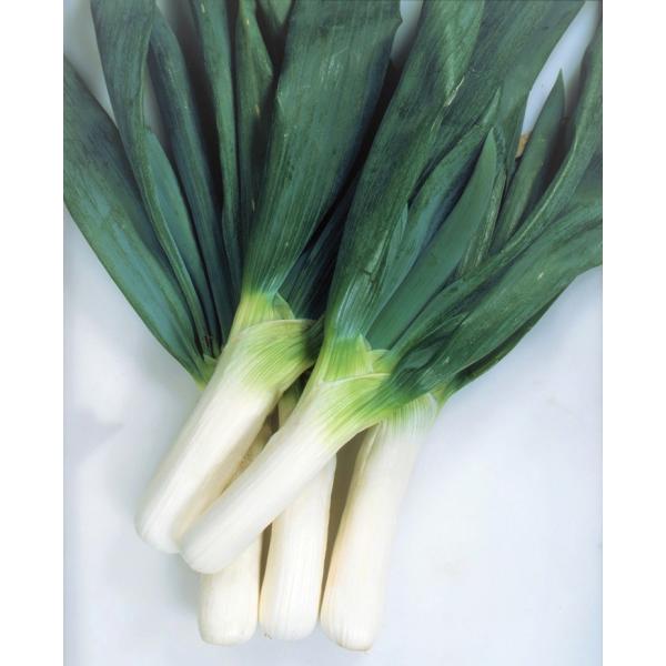 ylMqz@JlRc@Qn˂̓al˂@umciɂjv@܁@5.3ml