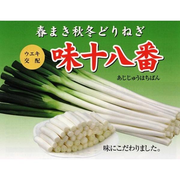 ylMqzEGLzu\ԁiイ͂΂jv@20ml