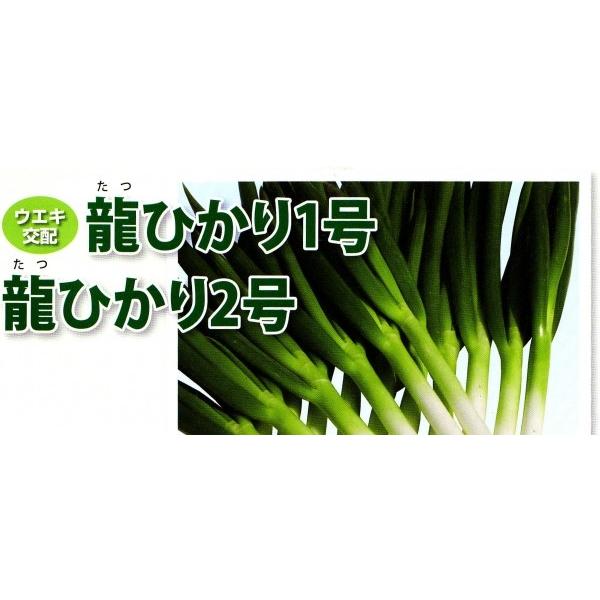 ylMqzEGLz@@uЂiЂj1v@6000R[g@s