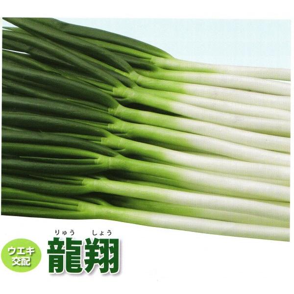 ylMqzEGLz@@uāviイ傤j@20ml