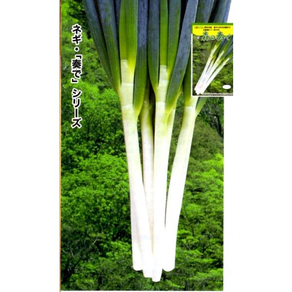 ylMqz_CzigL^cj@uX̑tîȂŁjv@1dl@V^lؑ֌̂͂\