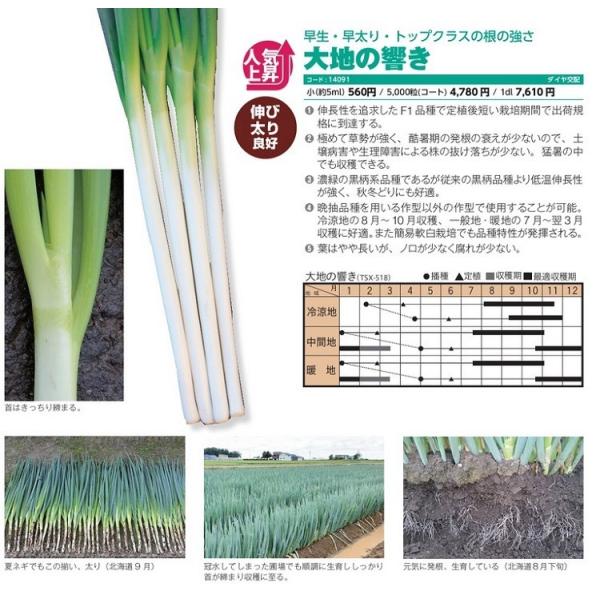 ylMqz_CzigL^cjun̋îЂтjv1dl@2025N11ȍ~