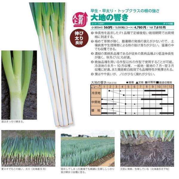 ylMqz_CzigL^cjun̋îЂтjv5000R[g@2025N11ȍ~