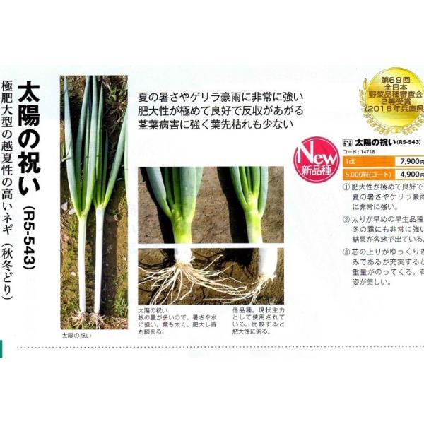 ylMqz_CzigL^cj@uz̏ji悤̂킢jv@1dlV^lؑ֌̂͂\